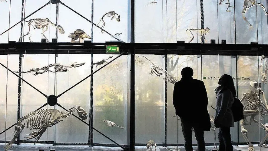 Collection permanente