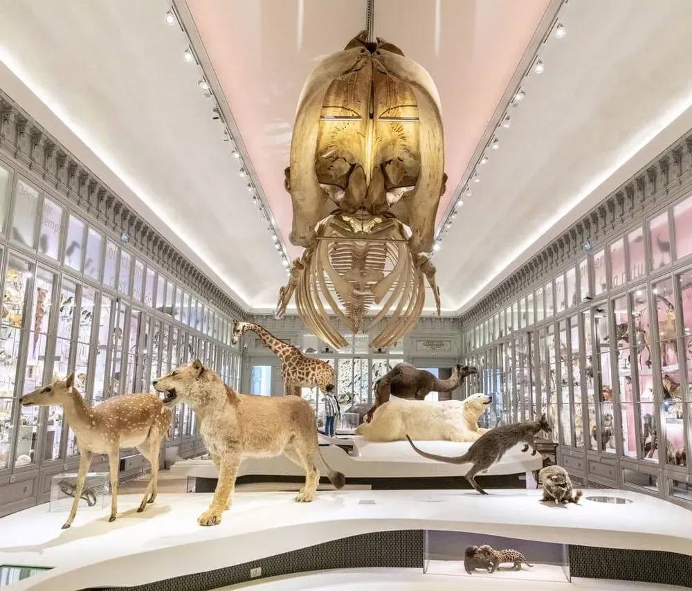 La nature vue par les Hommes