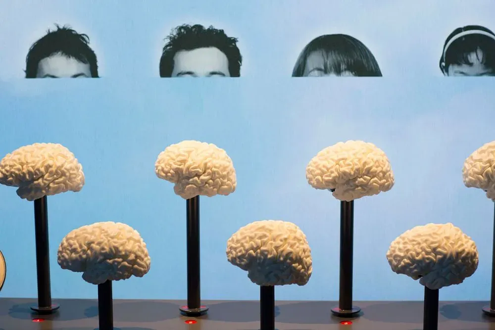 Cerveau, l'expo neuroludique 2