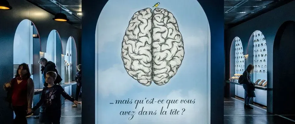 Cerveau, l'expo neuroludique 3