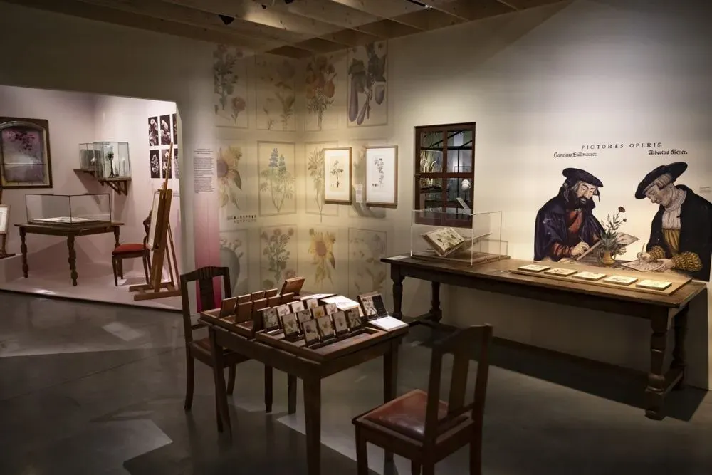 collection permanente 2