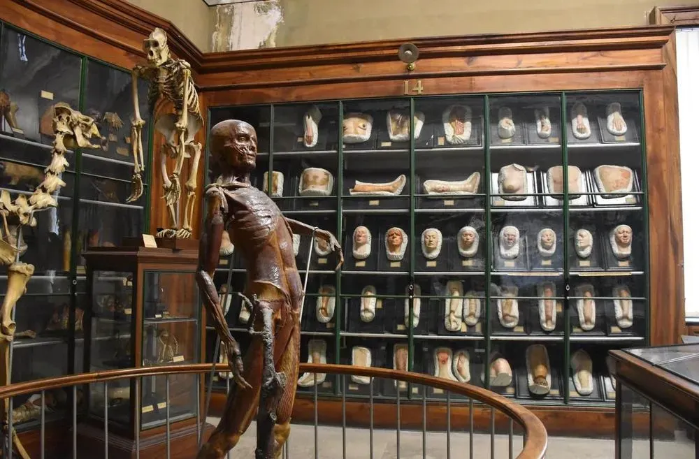 Collection Permanente 3