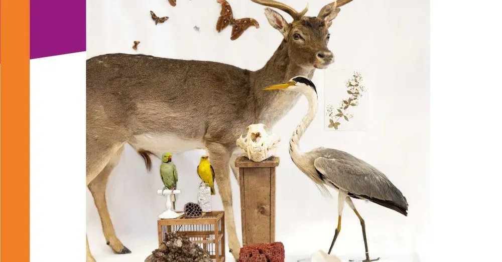 Collection Permanente