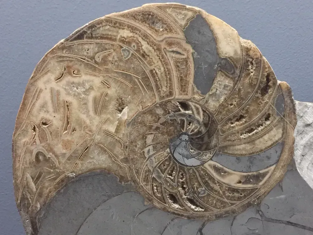 Collection Permanente 2