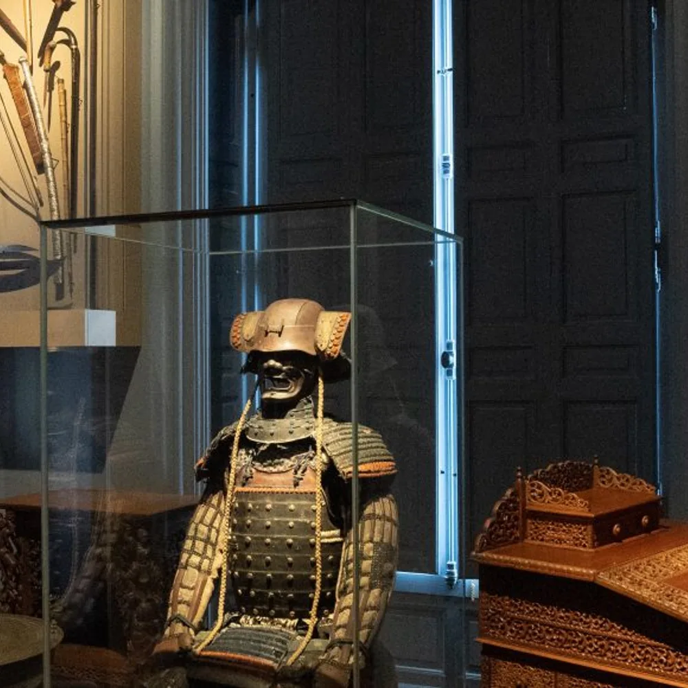 Collectionneurs et explorateurs