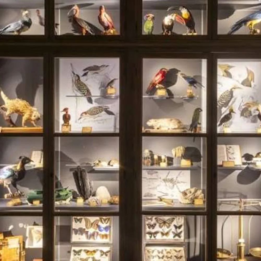 Collections d'histoire naturelle 2