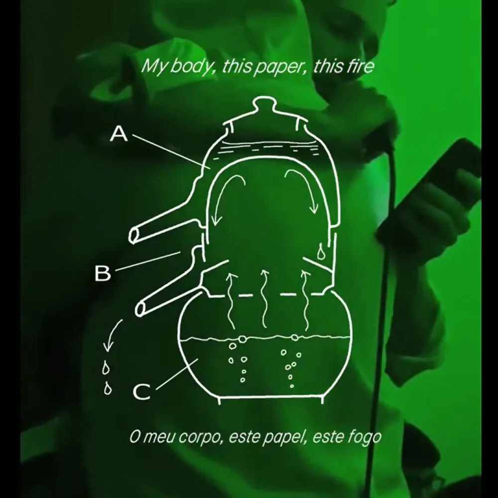 Cycle Mano Manca 3