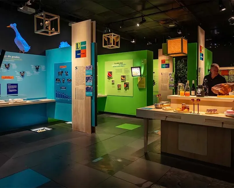 Domestique-moi si tu peux !