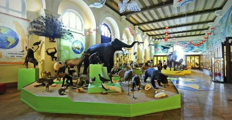 En plein dans le mil !