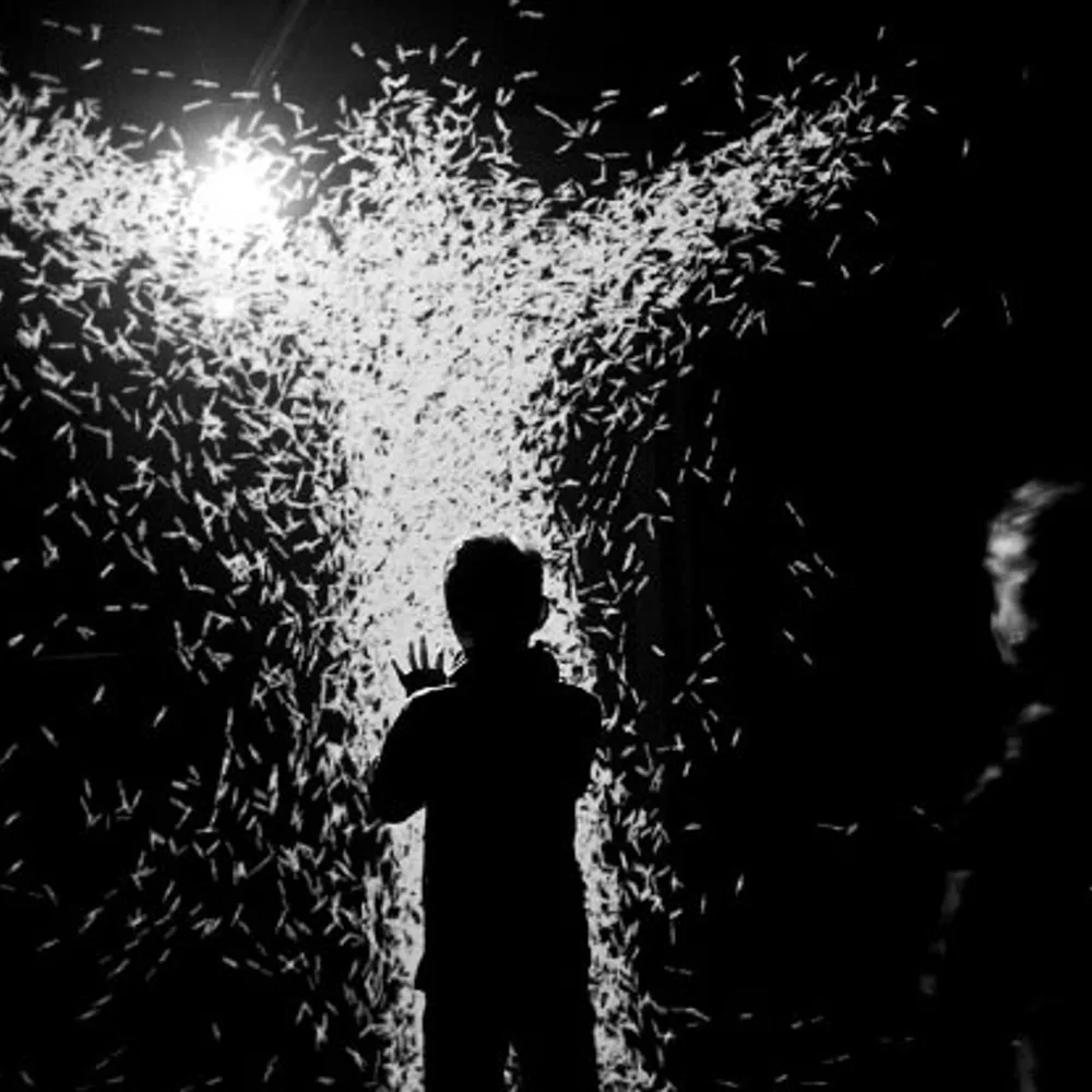 Expérience immersive XYZT 2