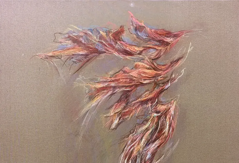 Expo flash - Mare Fecit