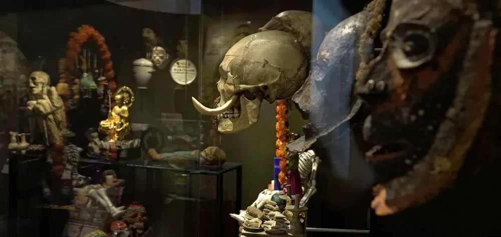 Galerie de l'Homme - Exposition permanente