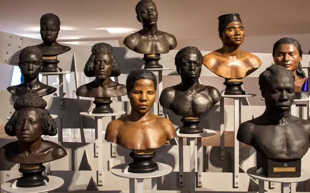 Galerie de l'Homme - Exposition permanente 3