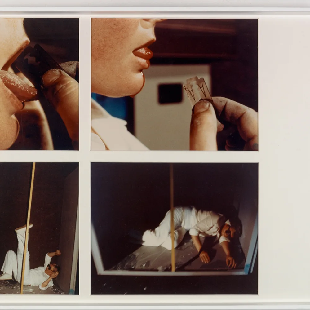 Gina Pane. A Hot Afternoon 3