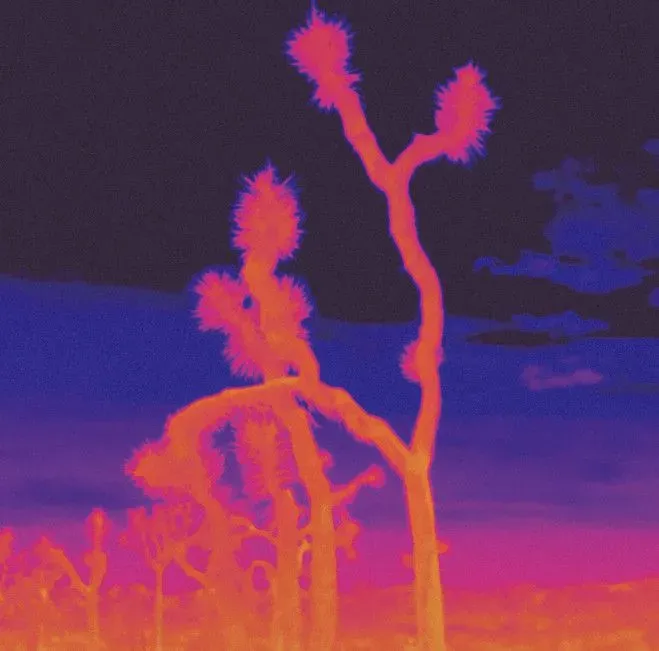 « Ici grand ouvert », exposition de SMITH