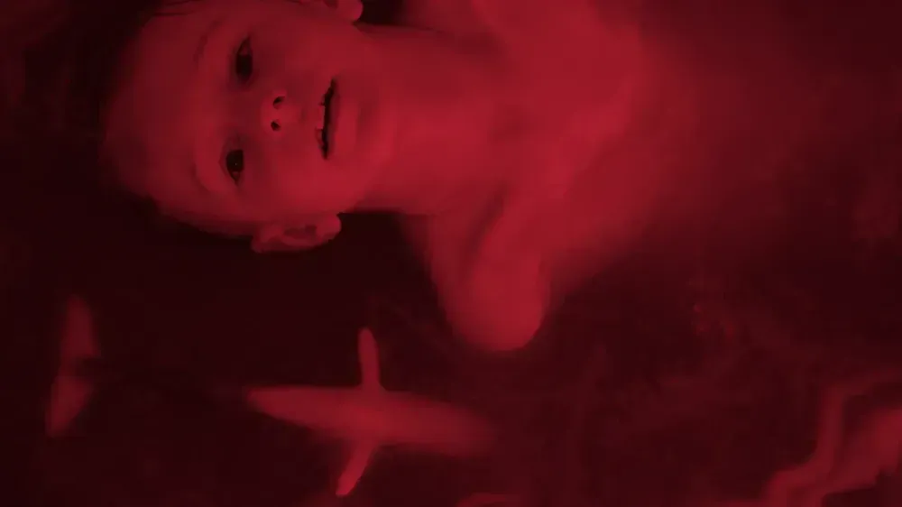 In the Veins