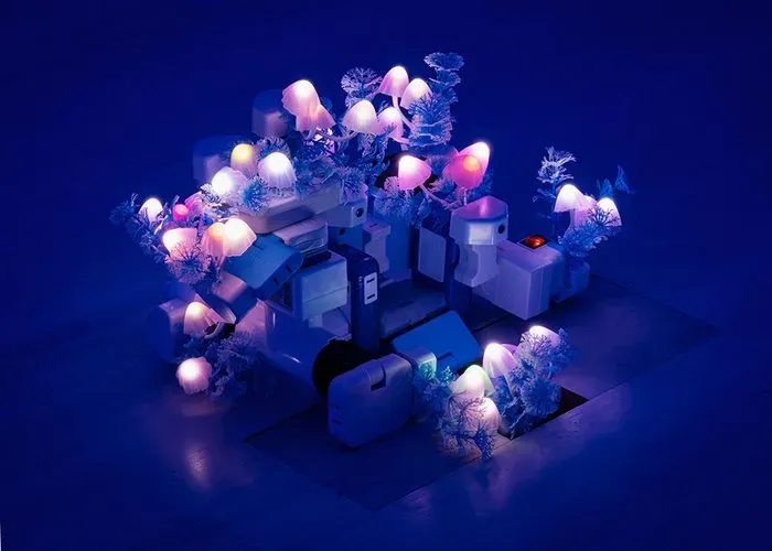 Jardin des neuf soleils