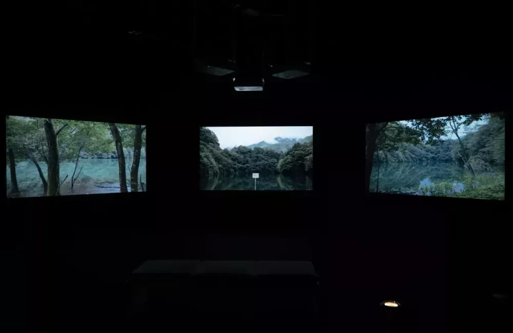 L’Écologie des relations - La Forêt amante de la mer 2