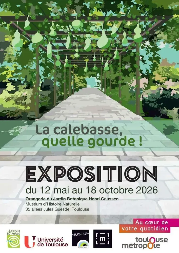 La calebasse, quelle gourde !