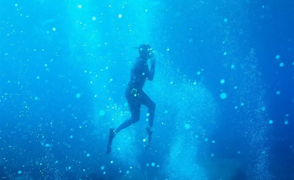 La mer jamais ne s'oublie