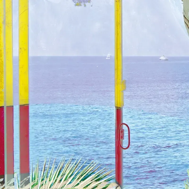 La vie climatique. Histoires sensibles des collections privées - Triennale De leur temps #8 2