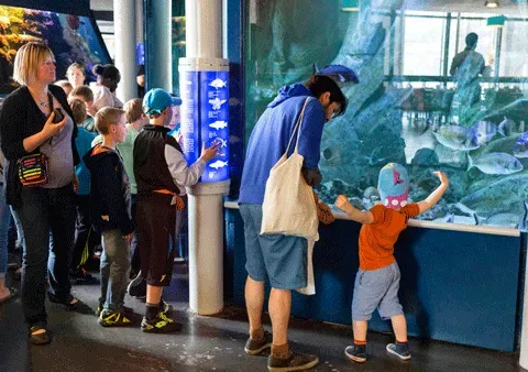 L'aquarium 3