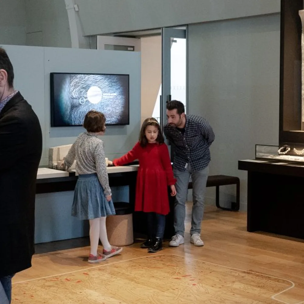 Le parcours des collections