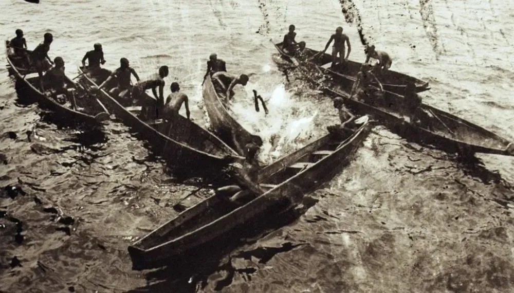 Les explorations photographiques d’Eugène Trutat