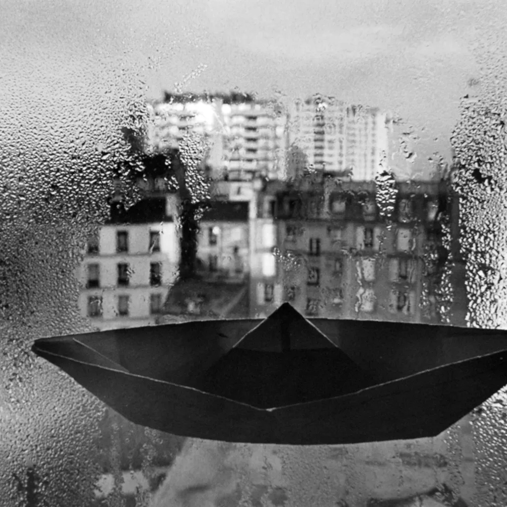 Les vies de la photographie