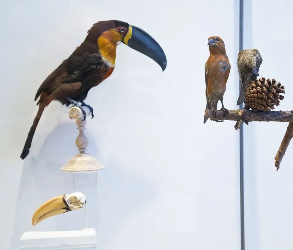 Mange-moi, si tu peux !