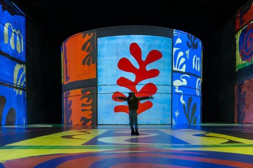 Matisse : La symphonie des couleurs 2