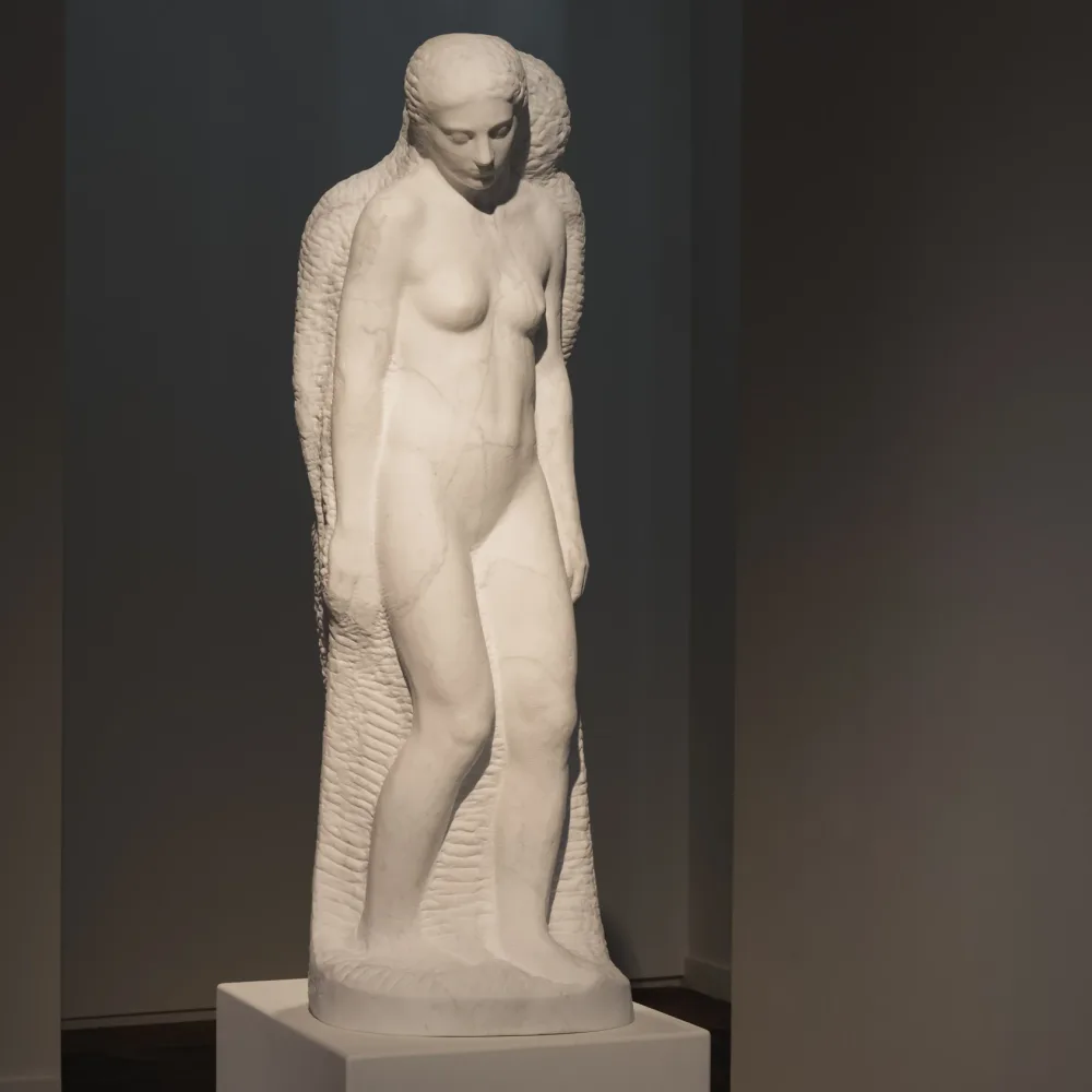 Matouš Háša — Unfinished