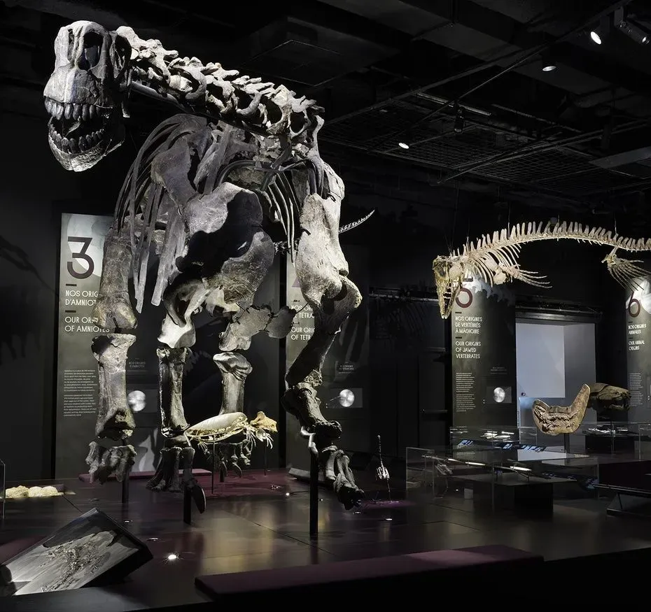 Origines, les récits du monde