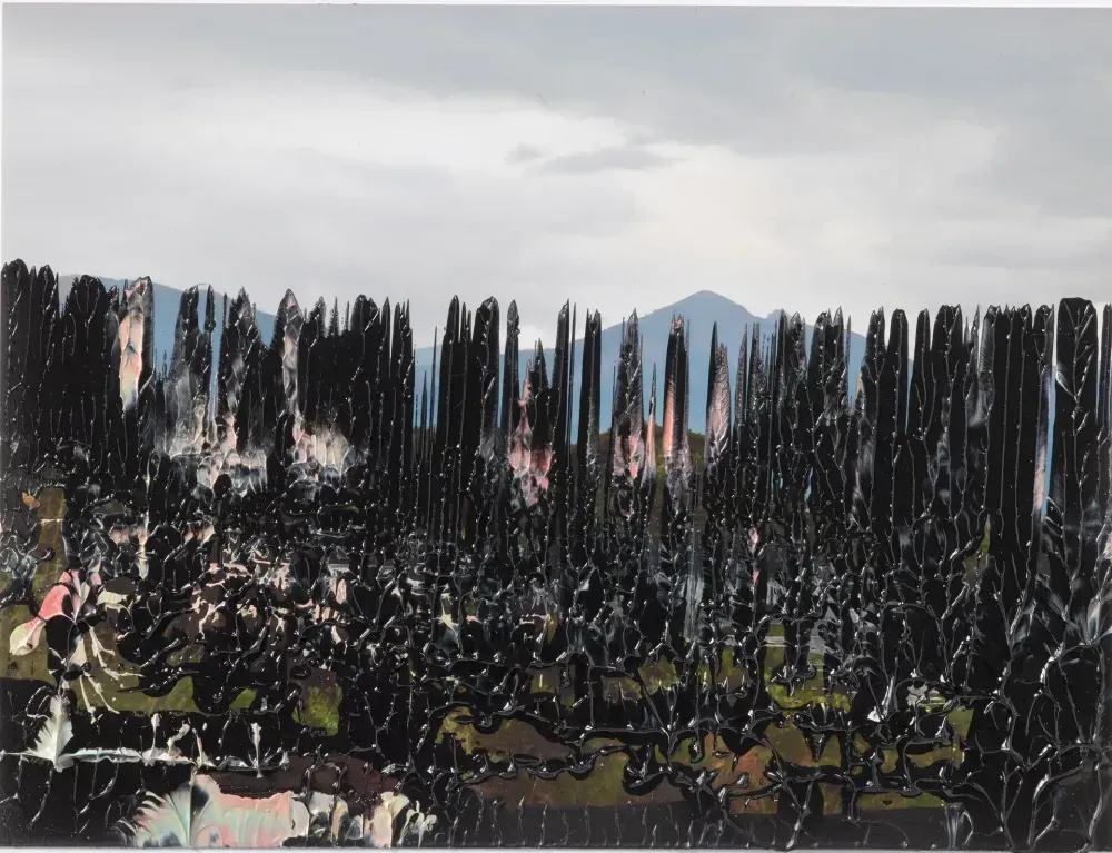 Overpainted Photographs 3