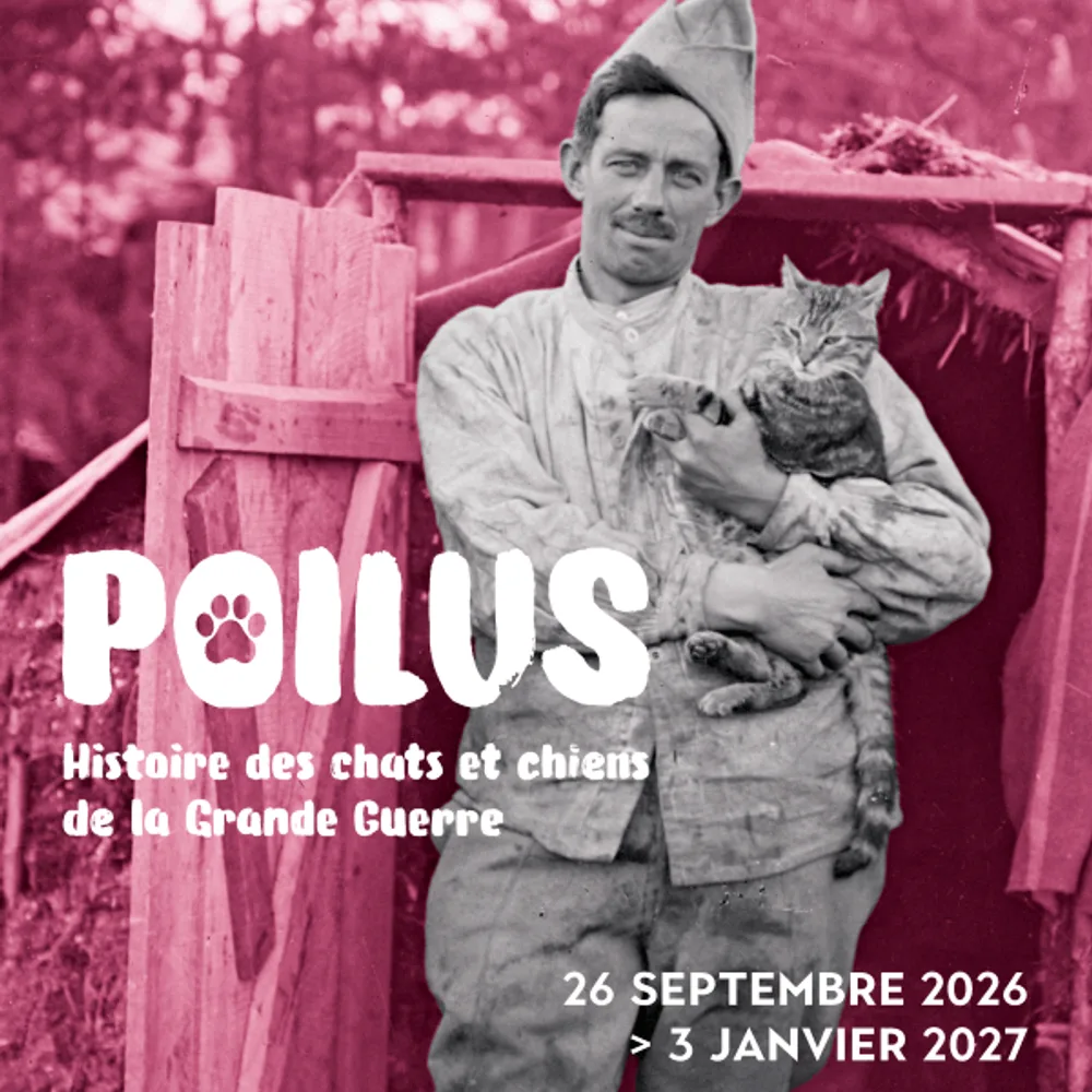 Poilus