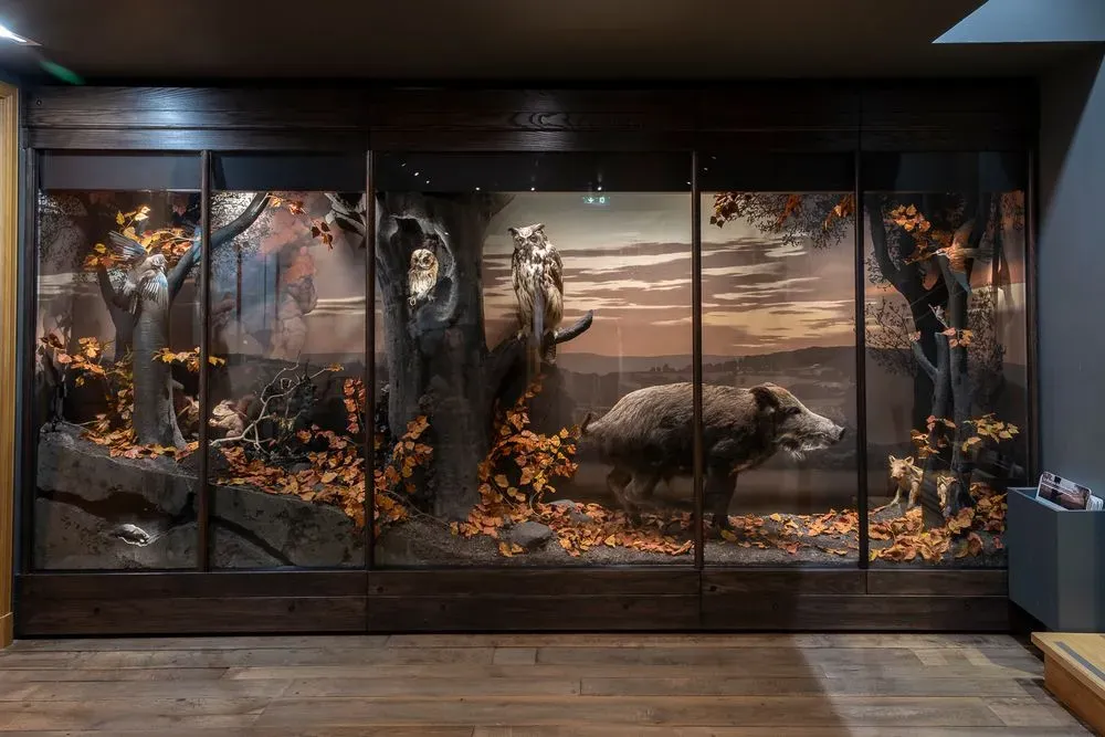 Relation homme‑animal