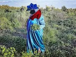 Sara Ouhaddou, Cosmogrammes