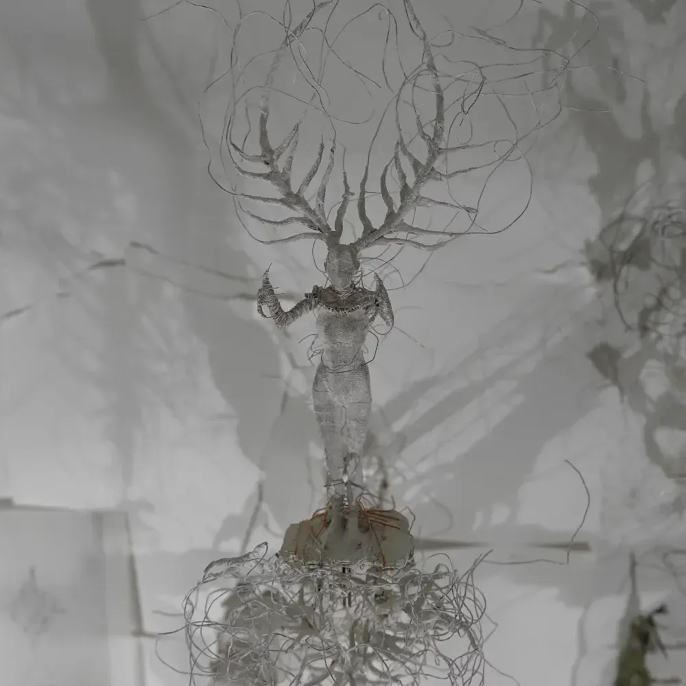 STUDIO, WOUNDS AND BATTLES, DESIRE IS THE REITERATION OF HOPE 3