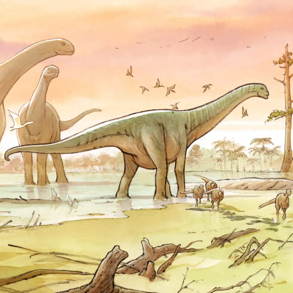 Sur les traces des dinosaures