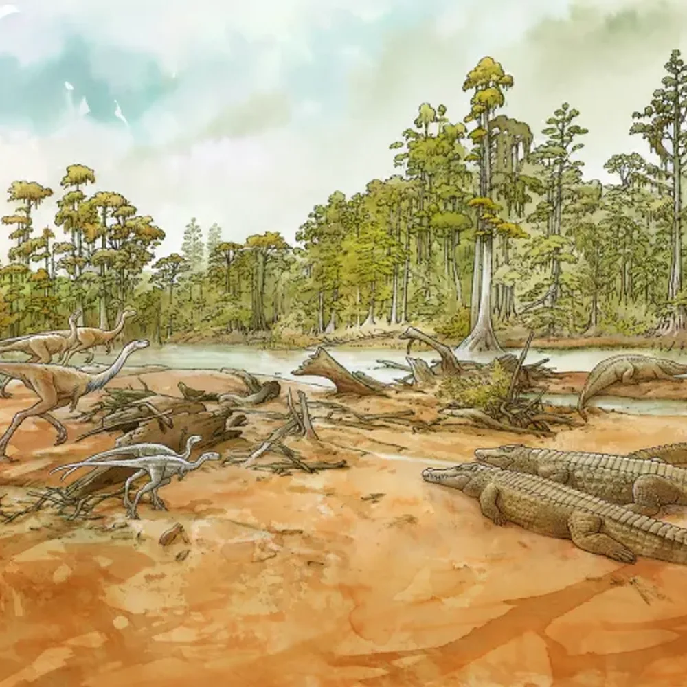 Sur les traces des dinosaures 2