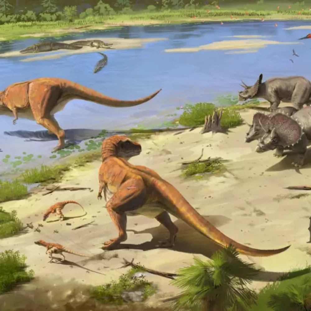 Sur les traces des dinosaures 3
