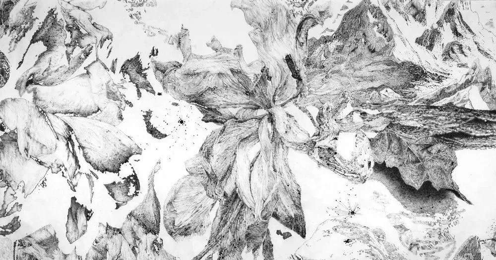 “Sutures” - Encres et fusains de Sandra Ghosn