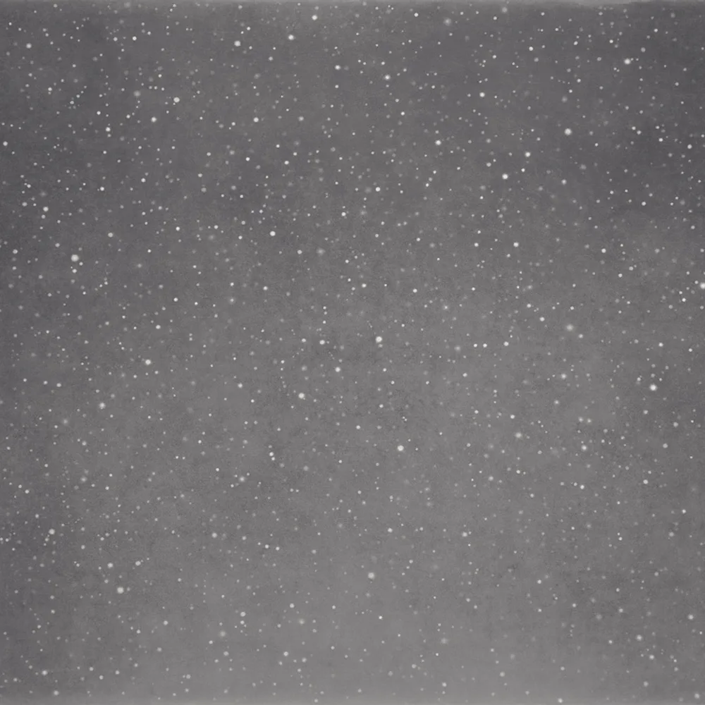 Vija Celmins