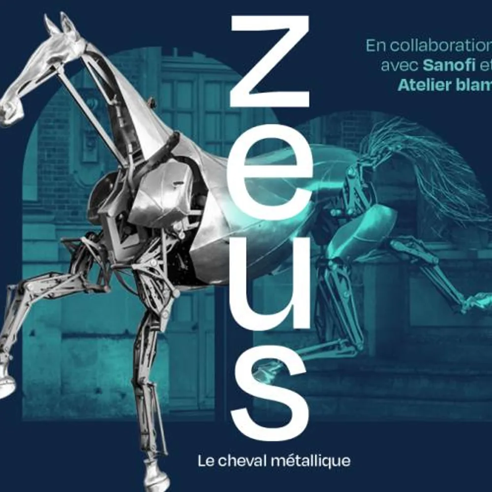 Zeus, le cheval métallique au MuAM