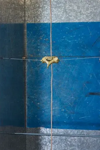 Agata Ingarden - Au grand jour / In broad Moonlight 2