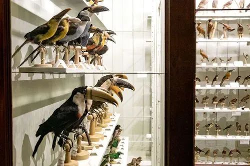 Collection permanente 2