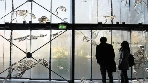 Collection permanente