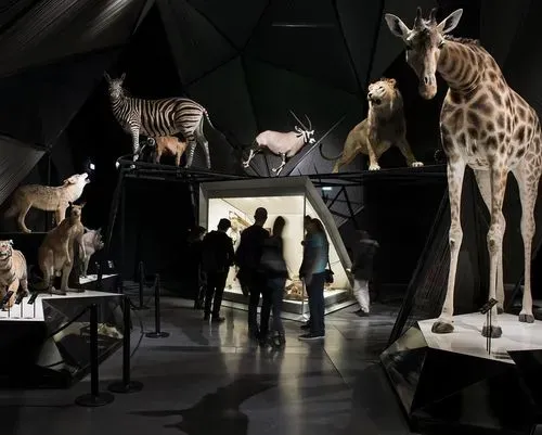 Espèces, la maille du vivant