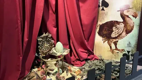 Aliçe et les drôles d'oiseaux 3