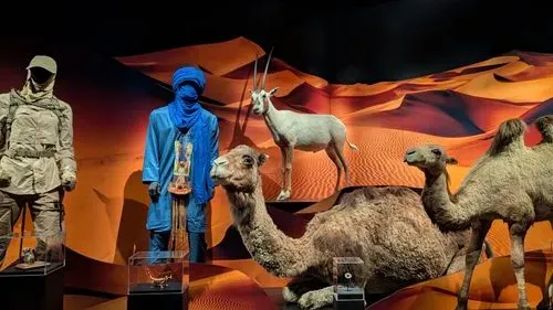 Animal culte